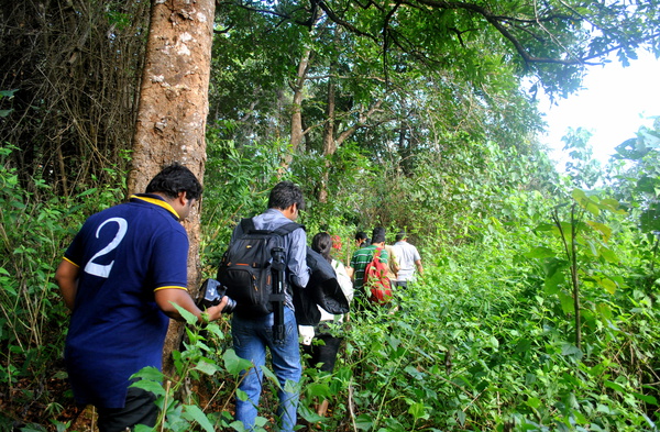 Jungle trecking in Dandeli